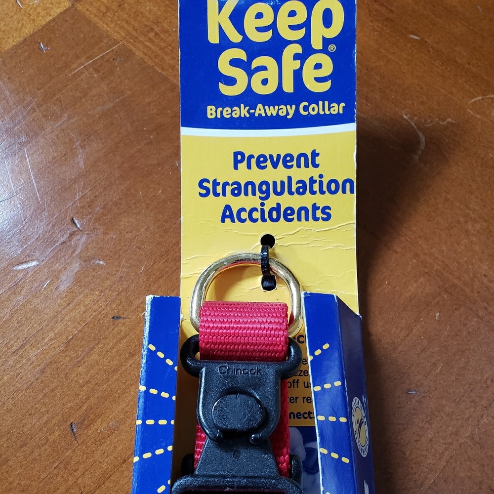 Safety Dog Collar Red Brand New